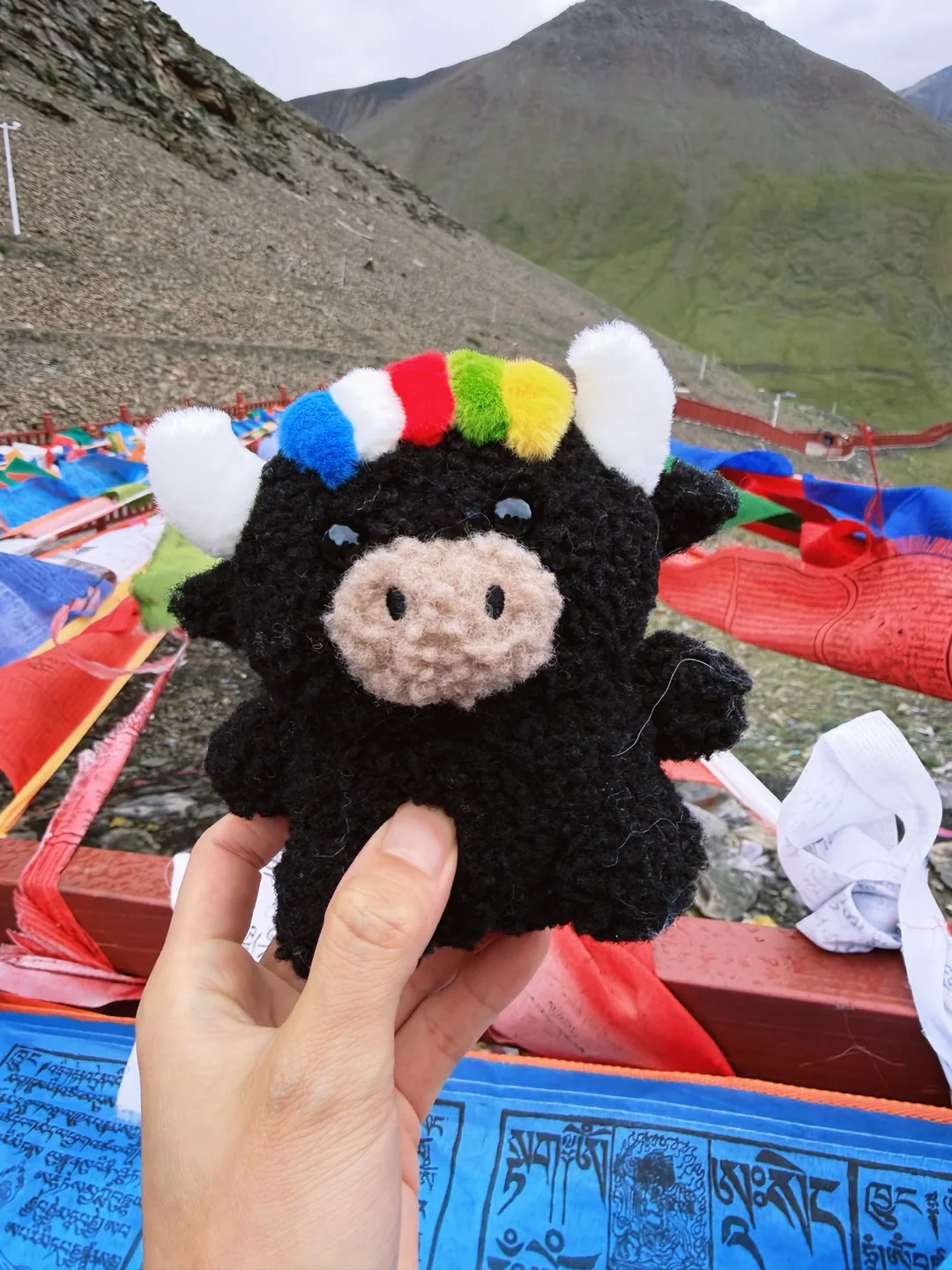 Tashi held up among colourful prayer flags at a mountain pass — 經幡山口手持的扎西