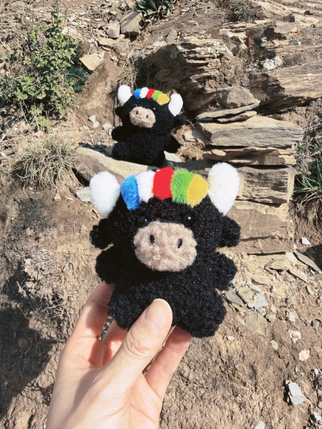 Two Tashi yaks, one big and one small, out on rocky mountain ground — 岩石地上大小兩隻扎西