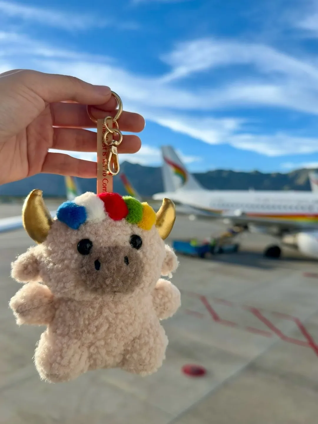 Dele held up by hand on an airport tarmac with an airplane behind under a blue sky — 機場停機坪手持的德勒，身後是飛機