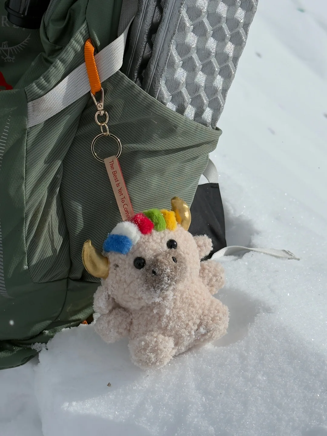 Dele hanging from a green hiking backpack, sitting in the snow with its golden horns and five-colour fringe — 雪地裡掛在綠色背包上的德勒